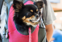 Exhibition park zoo reportage photo08