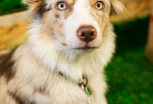 Exhibition park zoo reportage photo35