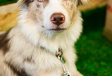 Exhibition park zoo reportage photo36