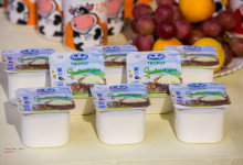 презентация репортаж дамате0004