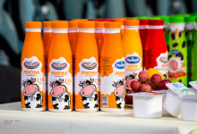 презентация репортаж дамате0007