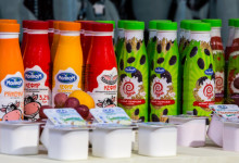 презентация репортаж дамате0008