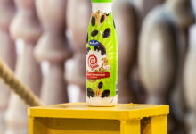 презентация репортаж дамате0009