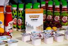 презентация репортаж дамате0012