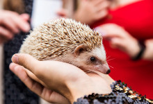 korporativ_Soho_Moscow_2023_0134