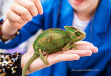 korporativ_Soho_Moscow_2023_0135